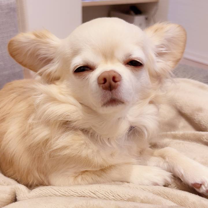 84287478 f3e7 4334 b435 cdd3a55ee2a8 1738575293966