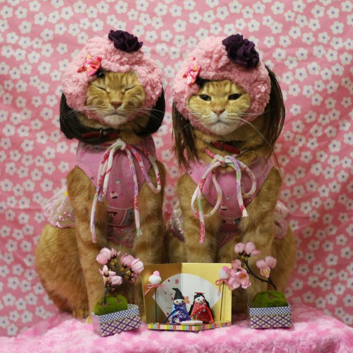 84288494 8a06 460c a353 f2840869a530 1520003610769