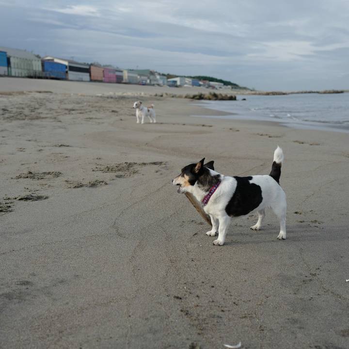 84288f70 75a7 49ae aff5 41955245c810 1508131852969