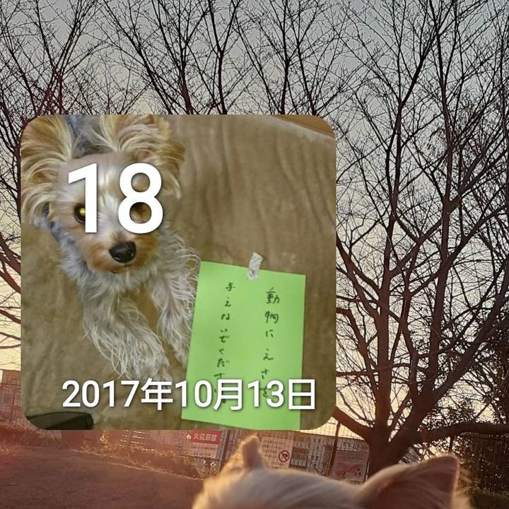 8428bee1 d7a2 45f8 b18c e2b373aee132 1634527856499