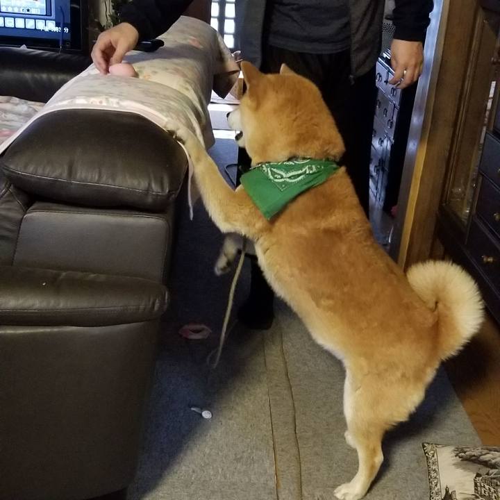 8428bee6 28fa 4180 9a92 c644e524154a 1523522189187