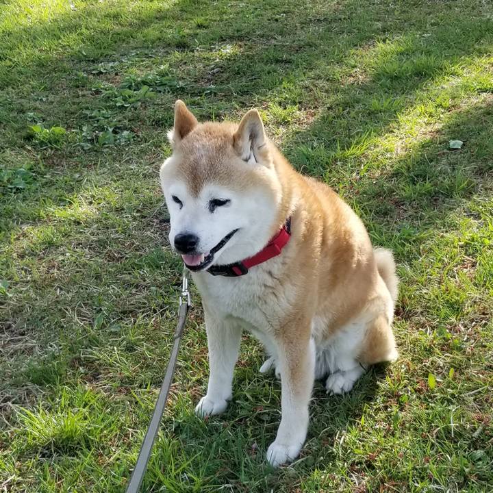 8428ed7c e68b 41d1 87f3 e3e6d40815cb 1714721655799