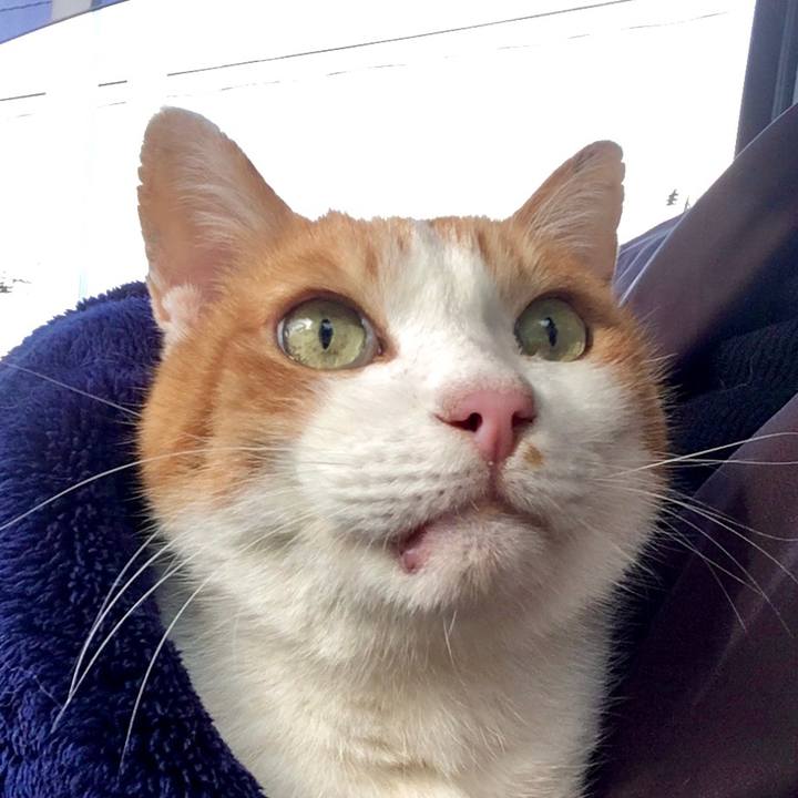 8428f224 e9ad 483e ae80 c97201aa0271 1575356692366