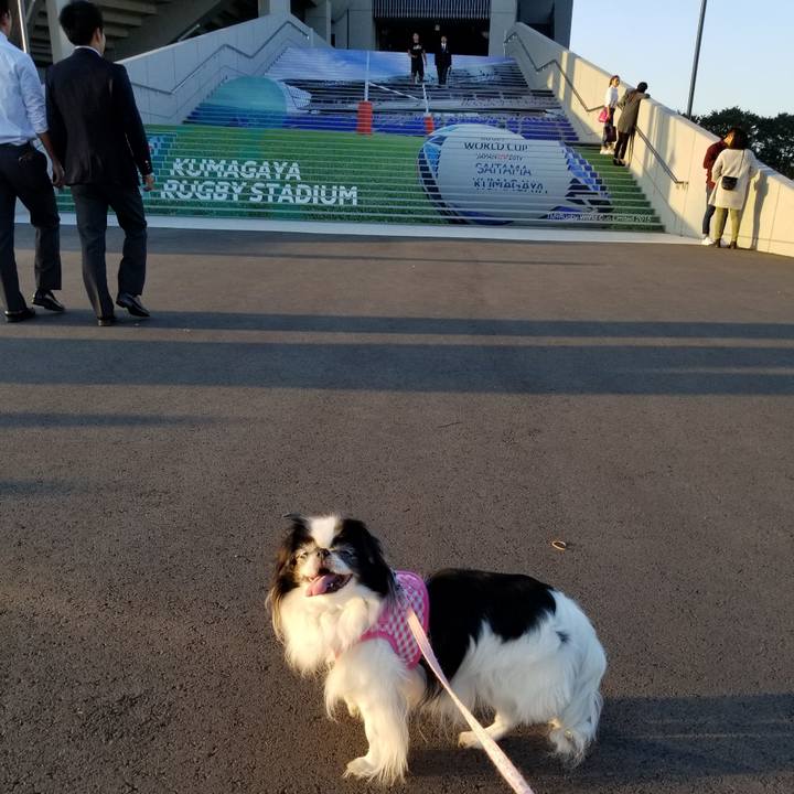 84293477 6c86 4f89 898e 5b0c21b4660f 1540116810734