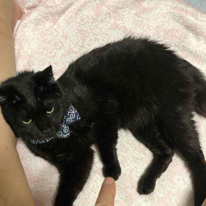 8429670a af3f 4138 8b40 20f29a955125 1579904191933