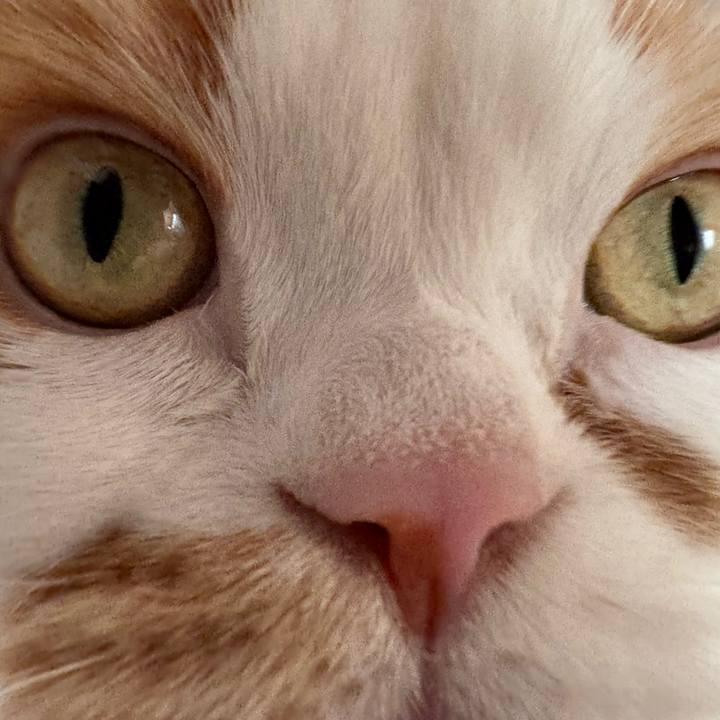 842973b1 ff12 4f79 ad6b a3ba738f4a9d 1734407338010