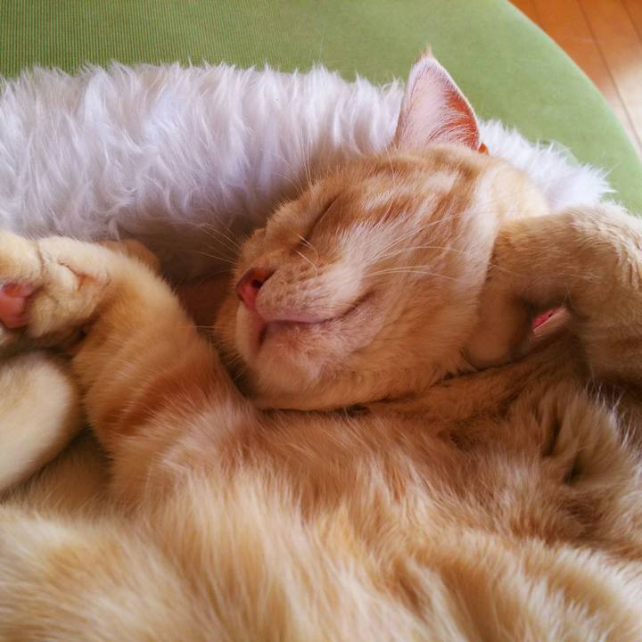 84297a9a 8b2f 452c 9af0 84ab1ec0196b 1521351938028