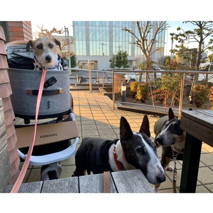 84297d52 72b2 4208 abb3 23af460ff172 1609670810922