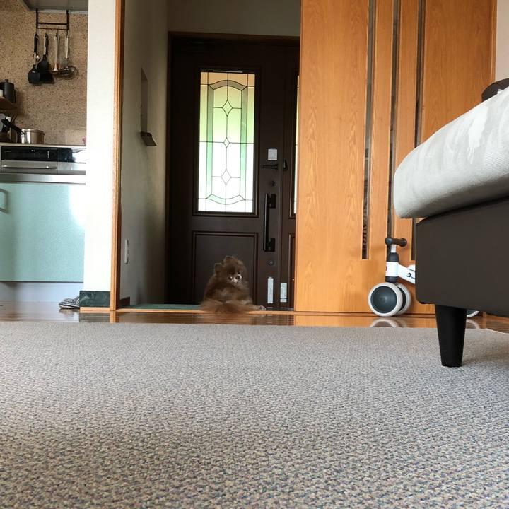 84297fec 86b3 4eb7 99ad ce81bf31197c 1536459395913