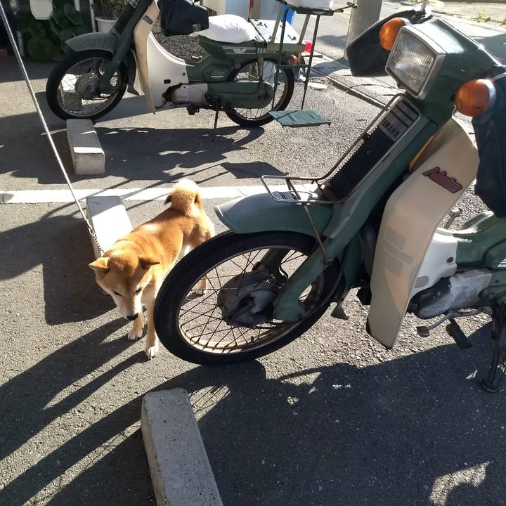 84298de5 ea4e 4706 b2b5 d6b8e2fa9059 1528190395531