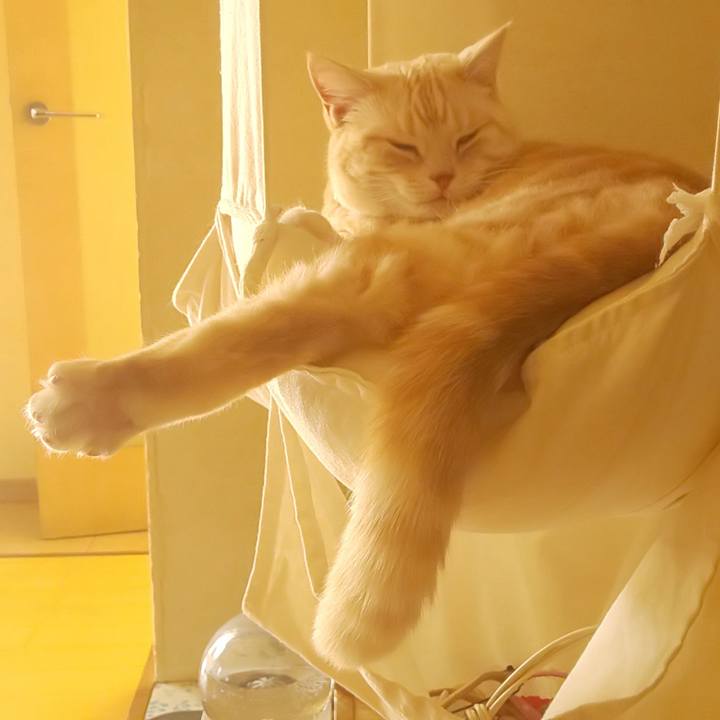 8429ba35 7427 44bf 974a ca4c7fef65aa 1584929653378