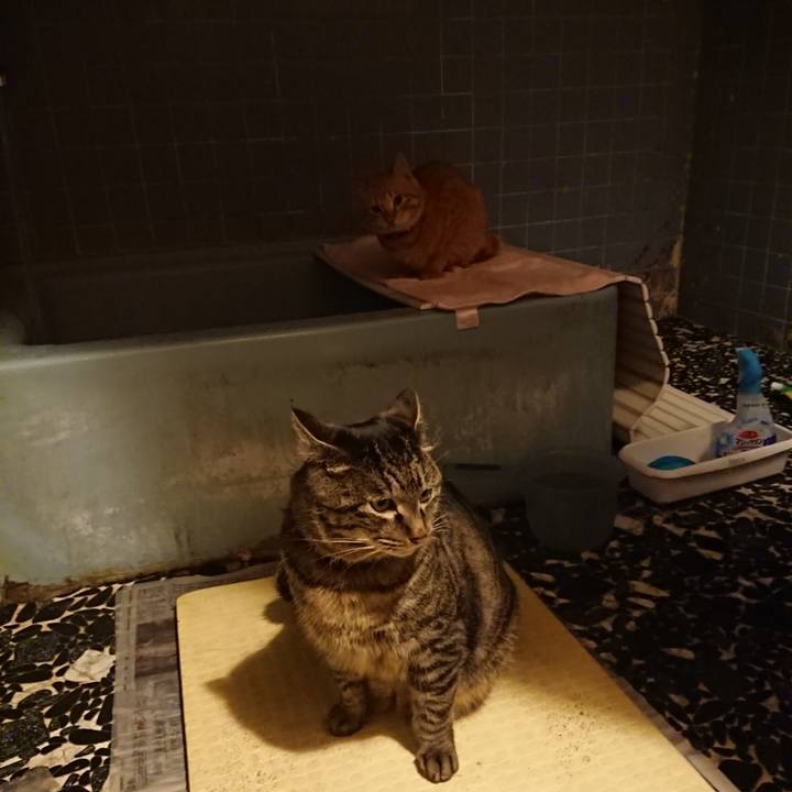 8429f8c3 34a3 4342 b59b d4f12ed8f32c 1643278426873