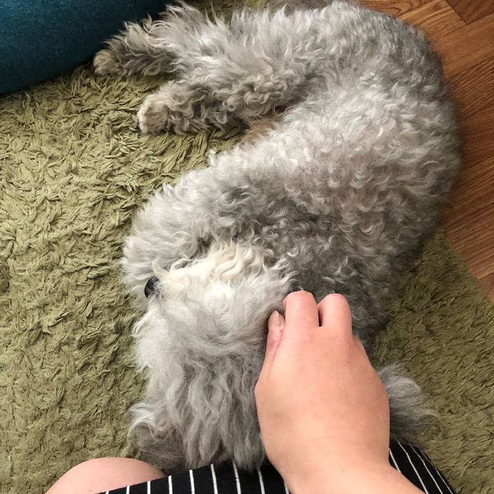 842a96c7 d142 4f97 8309 e03bd0630752 1522710385327