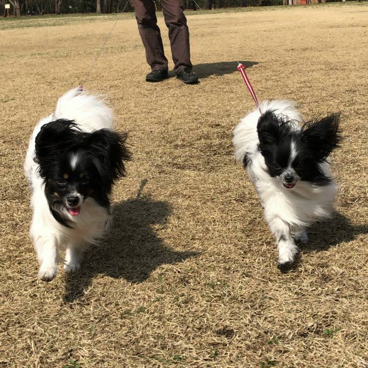 842acaf0 e752 447c ac4c 4bc4c2f55f0f 1520949488871