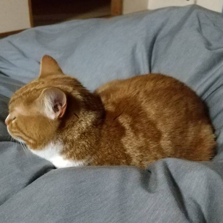 842ad62f f02a 4b86 a9a6 b178bb9fe745 1651583846698