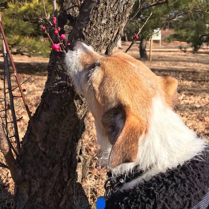 842b1828 bd75 44f7 b11a c7fe61b28c19 1549156832263