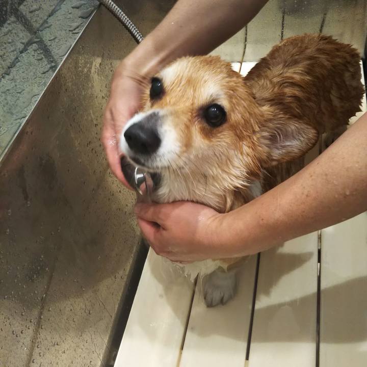 842b187f 438c 48b9 873d 78dfb4b97524 1611397755321