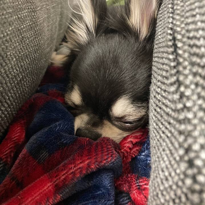 842b8428 55d3 40f5 81b1 0311738567c2 1609255837338