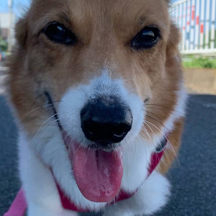 842b8d34 563b 4a40 9f60 47306d0984d8 1689805973734