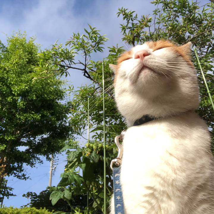 842b9548 6b9d 4700 b2dd 2d58dc9f2dc7 1561500104082