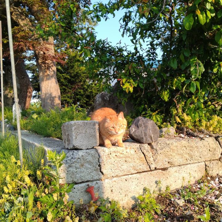 842b990f c8d3 4814 b39d 78e3f03dff76 1683670443543