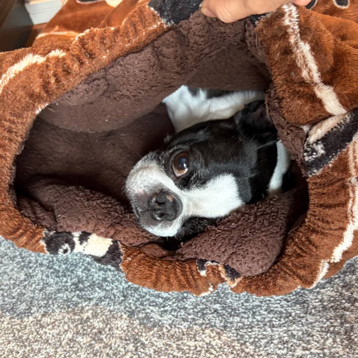 842b9c46 818d 4f86 94b3 0e947898a0ba 1764201406565