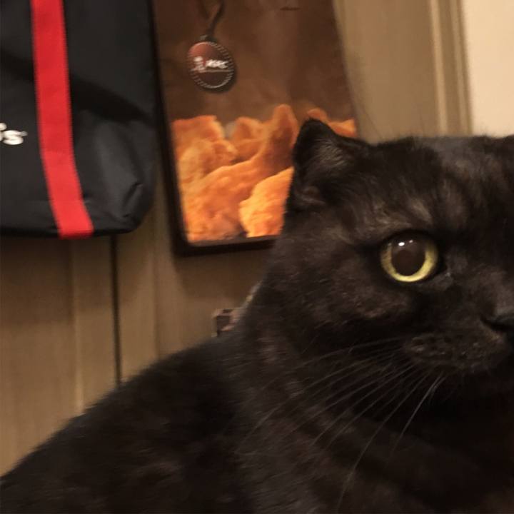 842b9cbc a556 4317 af8a e1fbe099dca2 1544409592961