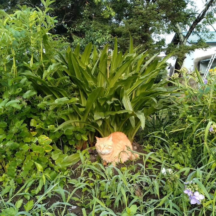 842bb235 cc10 4d84 83f1 f414a40e22a9 1689808254910