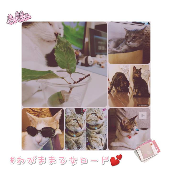 842bb2a6 6c98 4303 8e86 ea2087634670 1568372323084