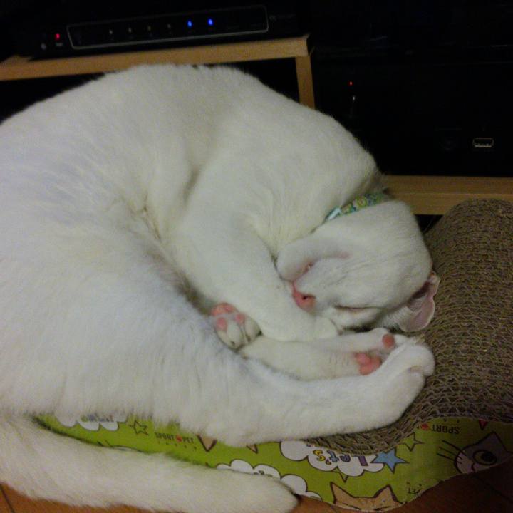 842bbdd8 50ba 427b 8de6 6522b8c21234 1521109317178