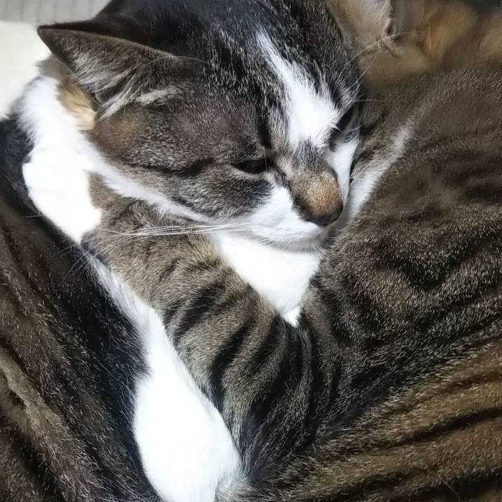 842c41a7 7506 493c 8779 a168e3727157 1617703766044