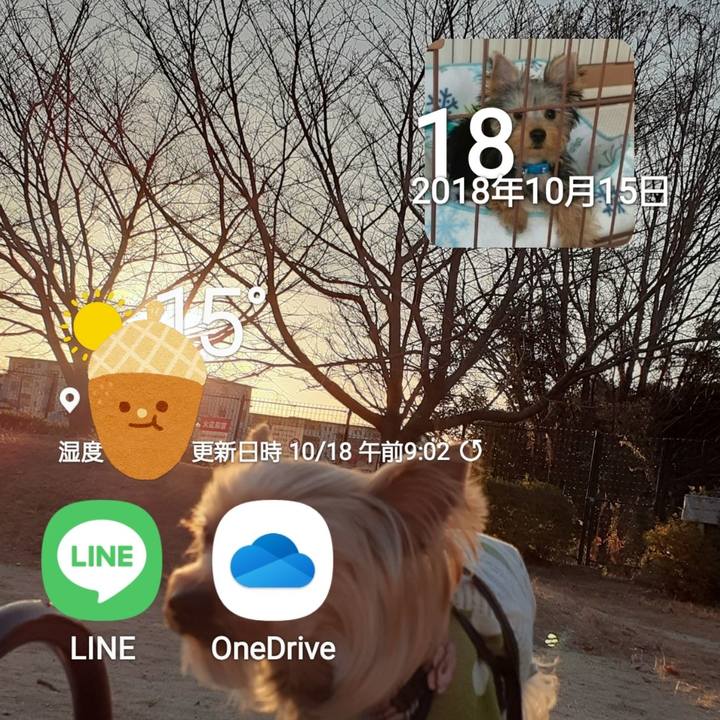 842c7508 4613 41c2 b599 2433ab7ac5d1 1634525565462