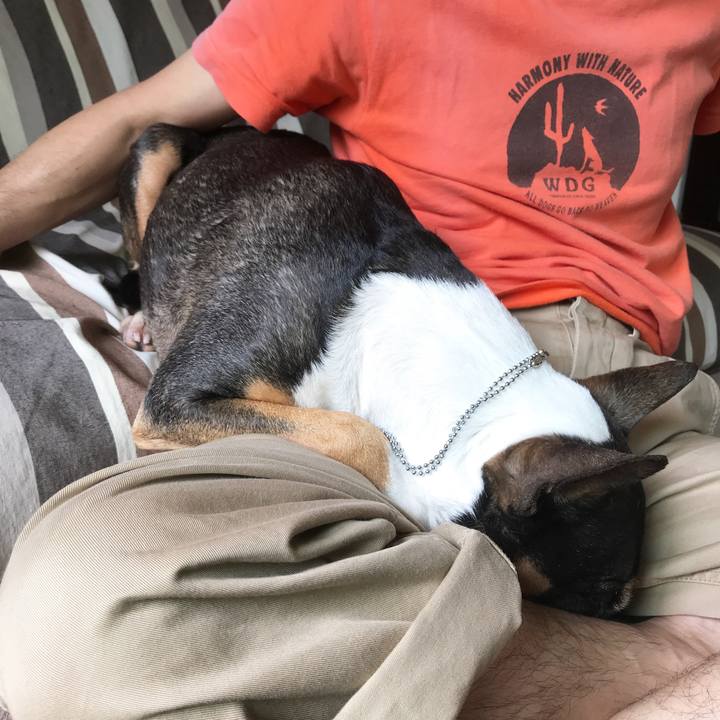 842c8dae 8f7d 45cb 8178 c3ca99ff24cd 1525580739511