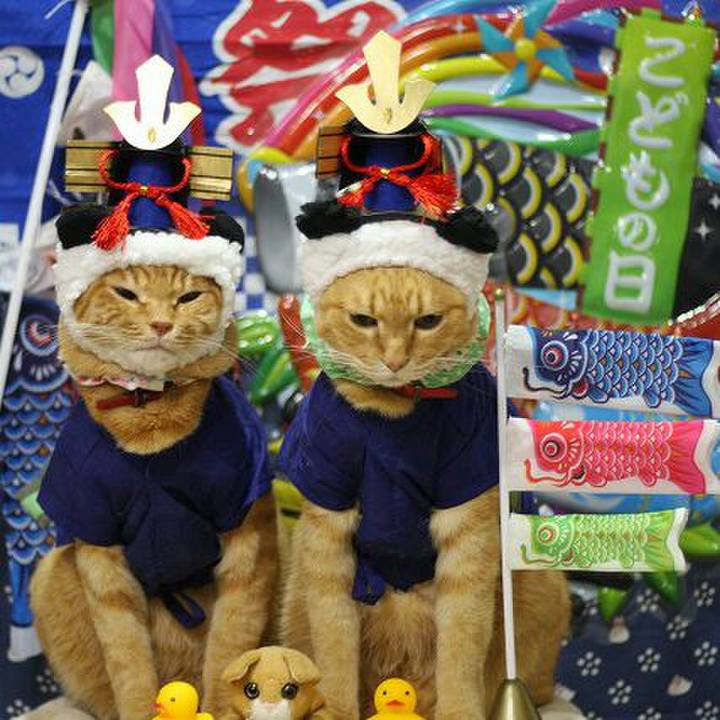 842c93e4 73bf 43e9 bc81 5ca3d222d467 1524667575850