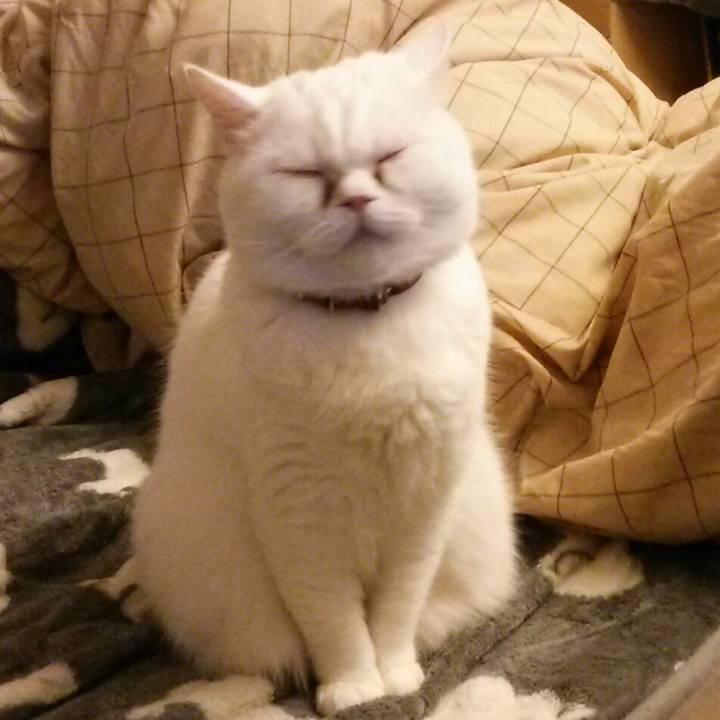 842cb87b 2d08 40eb ab42 513b791ca552 1518469494710