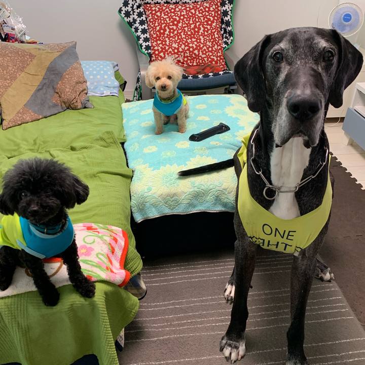 842cc0da 7559 488d 9c77 ac8da45a3fc4 1590619320311