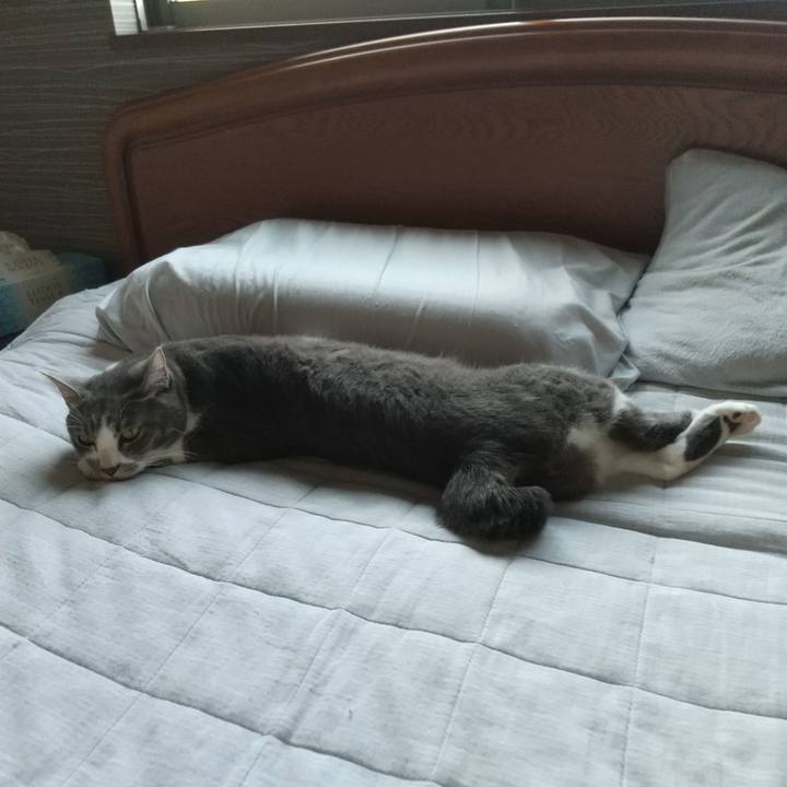 842cc26c 7d22 4d47 9eaf 5fc98dba9736 1621767992002