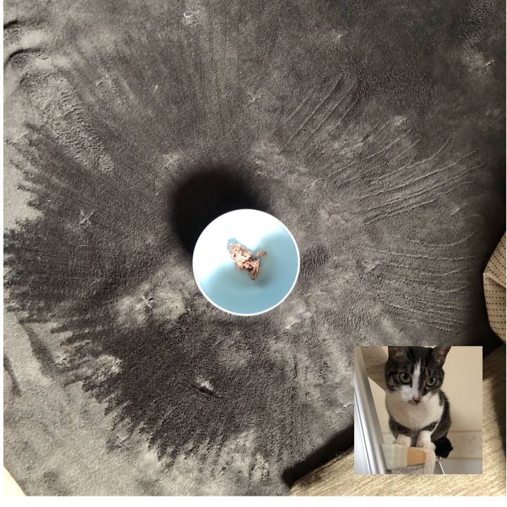 842d2232 d0fa 4926 b1bc ec81ba70c0f5 1615187847941