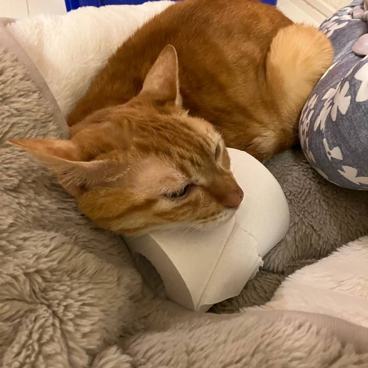 842d250a bb84 4a95 ab4f 9d9cc2ff3641 1768302086305