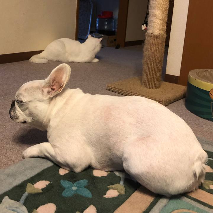 842d35f9 76ed 42be 9652 7b1b3ab6b0b1 1623570418926