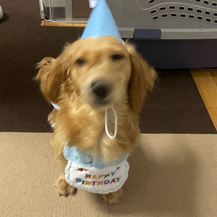 842d4653 fca9 48df bcf8 4a322376760c 1689507847753