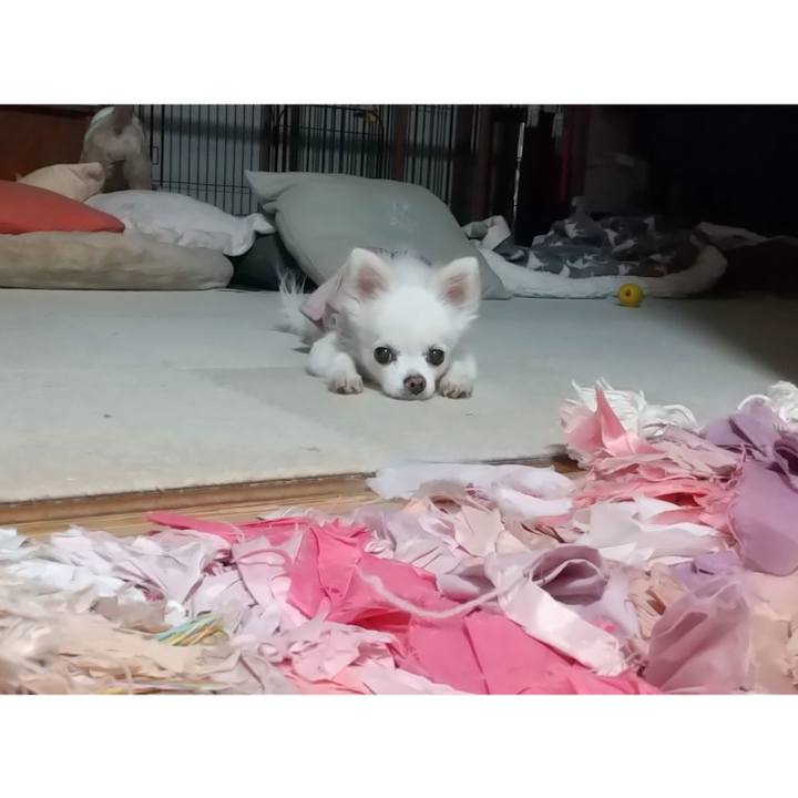 842dea80 a774 47d9 99d0 5c5f5965148e 1627641865588