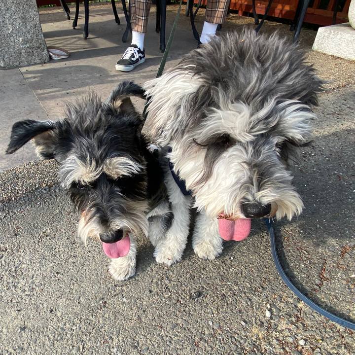 842df891 0461 4f1d 8822 e1080176853e 1588427669575