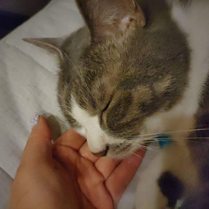 842e0718 9653 498e 91c7 e35cf12e1d8e 1653775396511