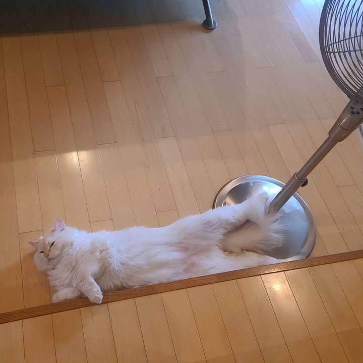 842e0b43 df56 4721 8d05 27cca74a6beb 1684314384645