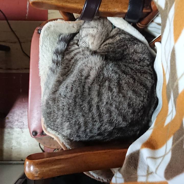 842e8bef 05db 4290 b47d 3f79c36005d9 1552788023907