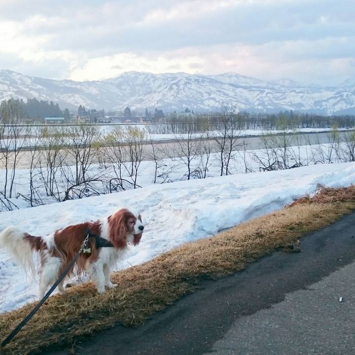 842ea46e f7e1 4b71 a672 1cd52bf553c1 1522362610601