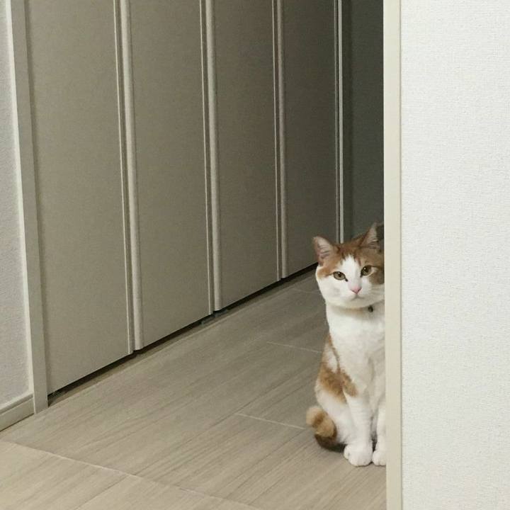 842eaddc 1c45 41a6 b039 a5bf1b417e34 1555573849706