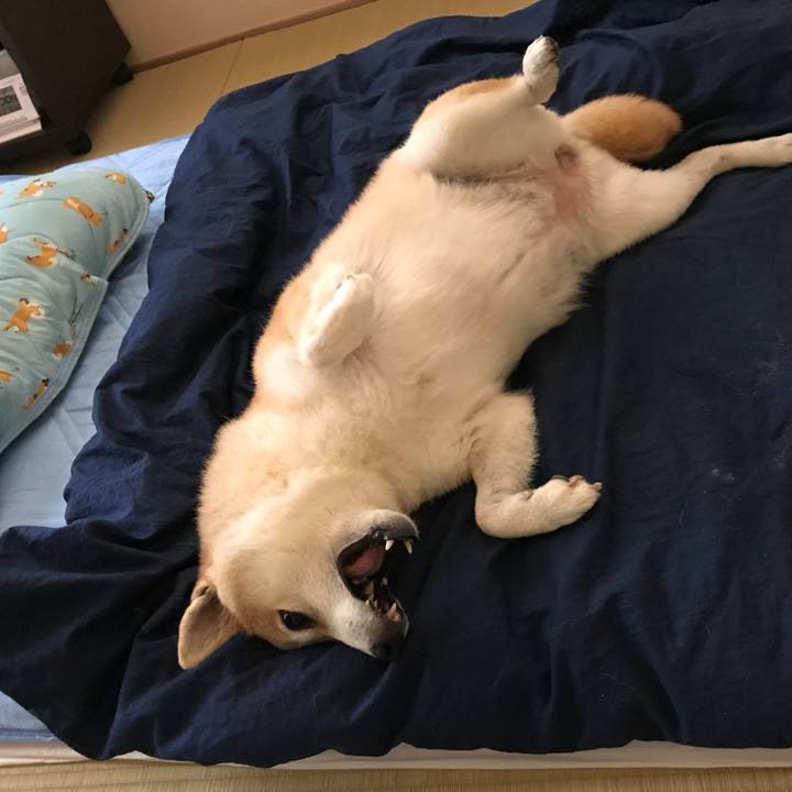 842eb46c f8b2 4724 9185 b6026d1a7e63 1535334538919