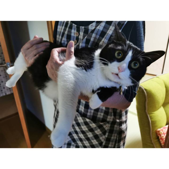 842ecb38 7621 4b2d b16d 23191fd2c5c4 1654321956667